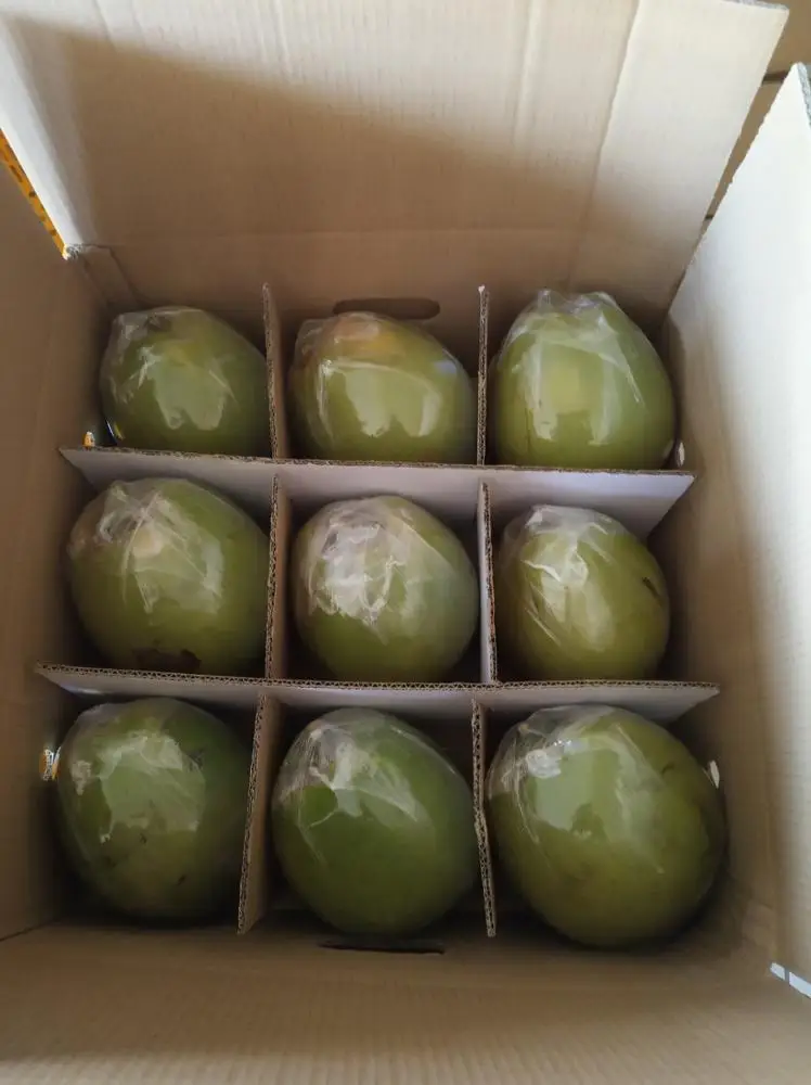 
Diamond Shape Coconut/ Fresh Coconut Vietnam 