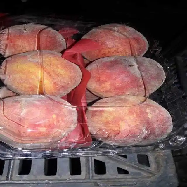 
 Fresh Peaches & nectarines  