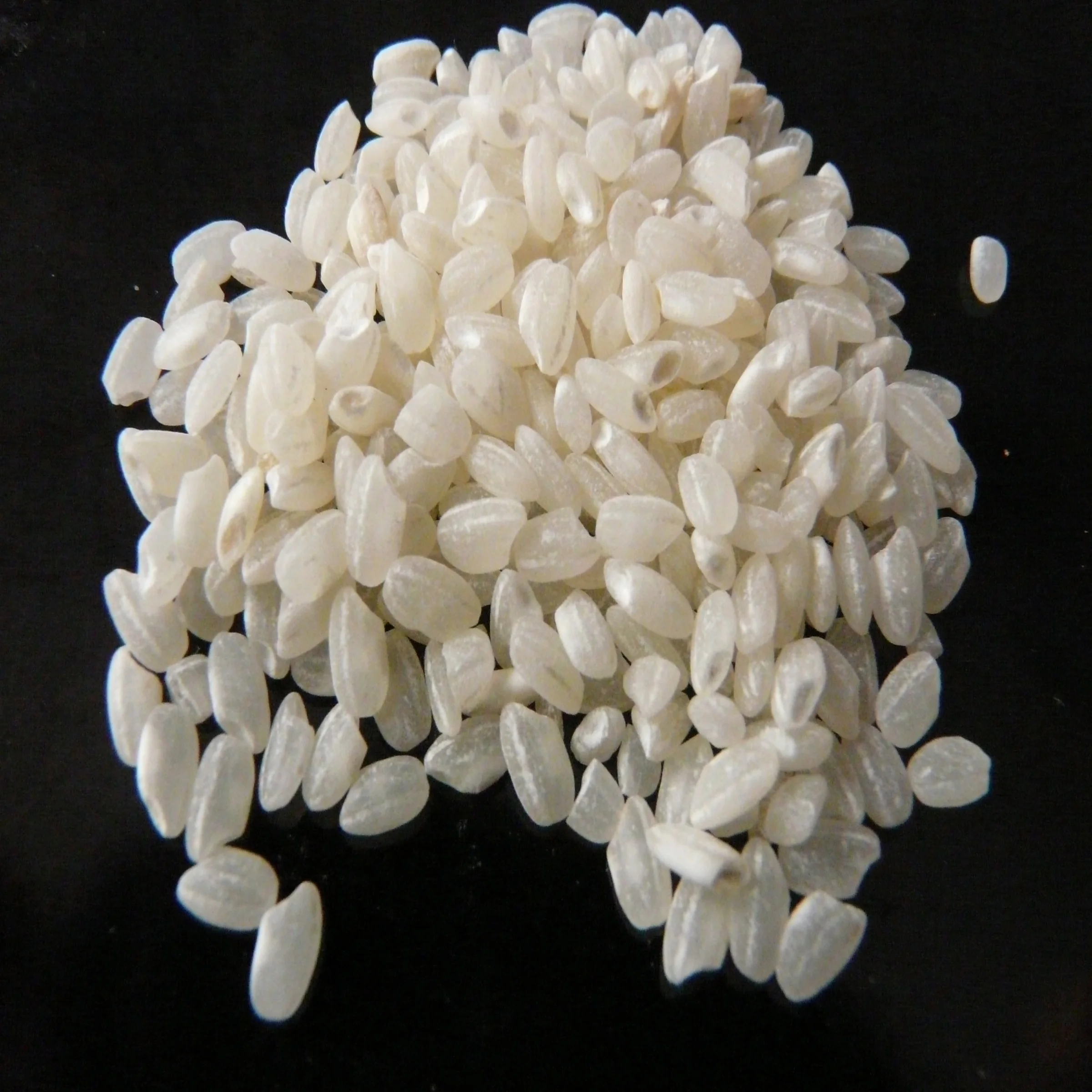  Vietnamese Japonica Rice 5% Broken - The Best Sushi to All Buyers Calrose Short-grain WHITE COMMON