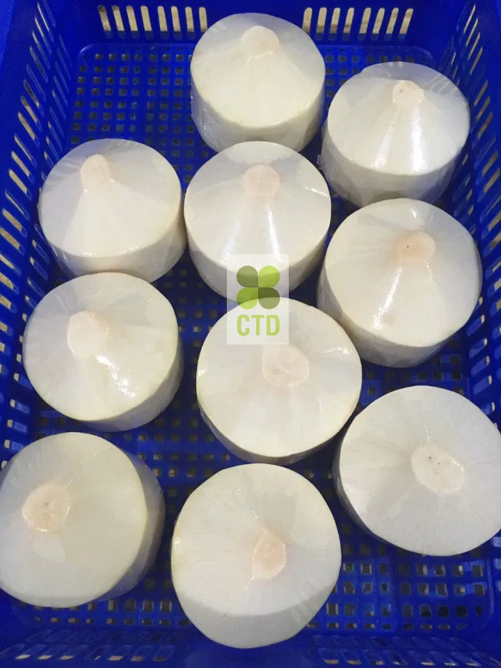 
Diamond Shape Coconut/ Fresh Coconut Vietnam 