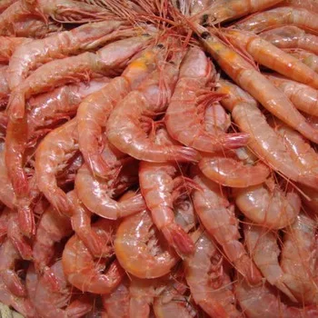 Fresh Frozen Vannamei Shrimp