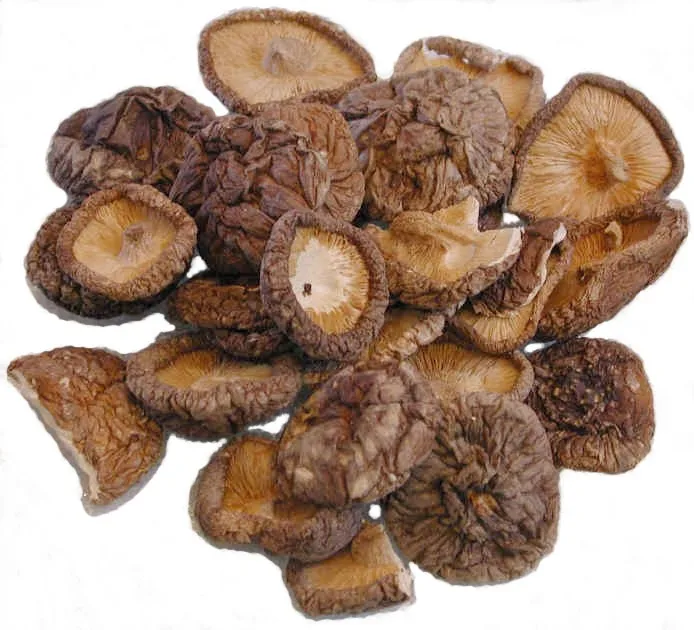 
VIETNAM HIGH QUALITY SHIITAKE MUSHROOM/MAGIC MUSHROOMS 