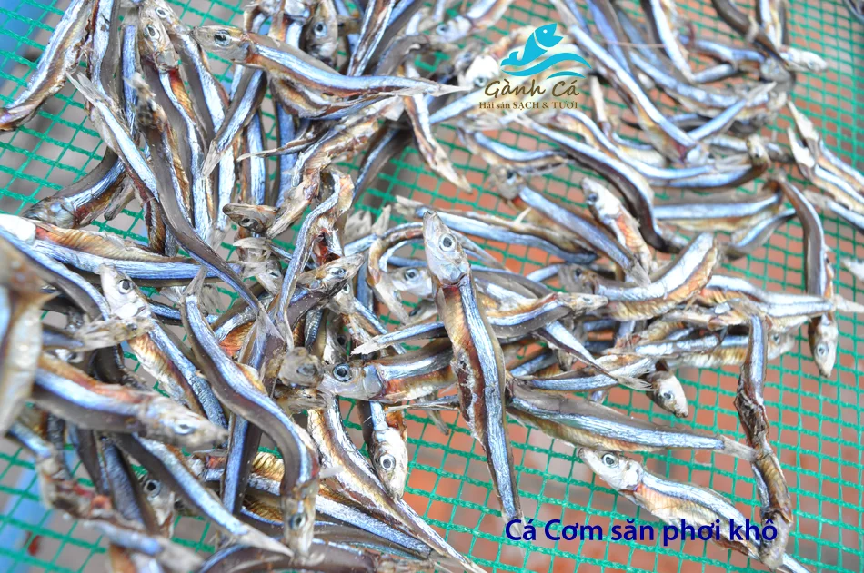 VERY DRY FISH SILVER LINE DRIED ANCHOVY - SPRATS GOLDEN COLOUR