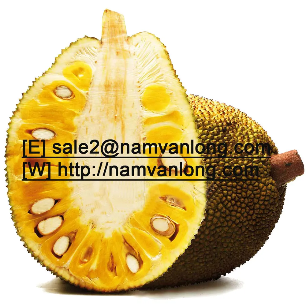 FROZEN JACKFRUIT WITH BEST PRICE AND QUALITY / VIETNAM WHOLESALE 2023 / NEW CROP - WHOLESALE FROM NAVALO