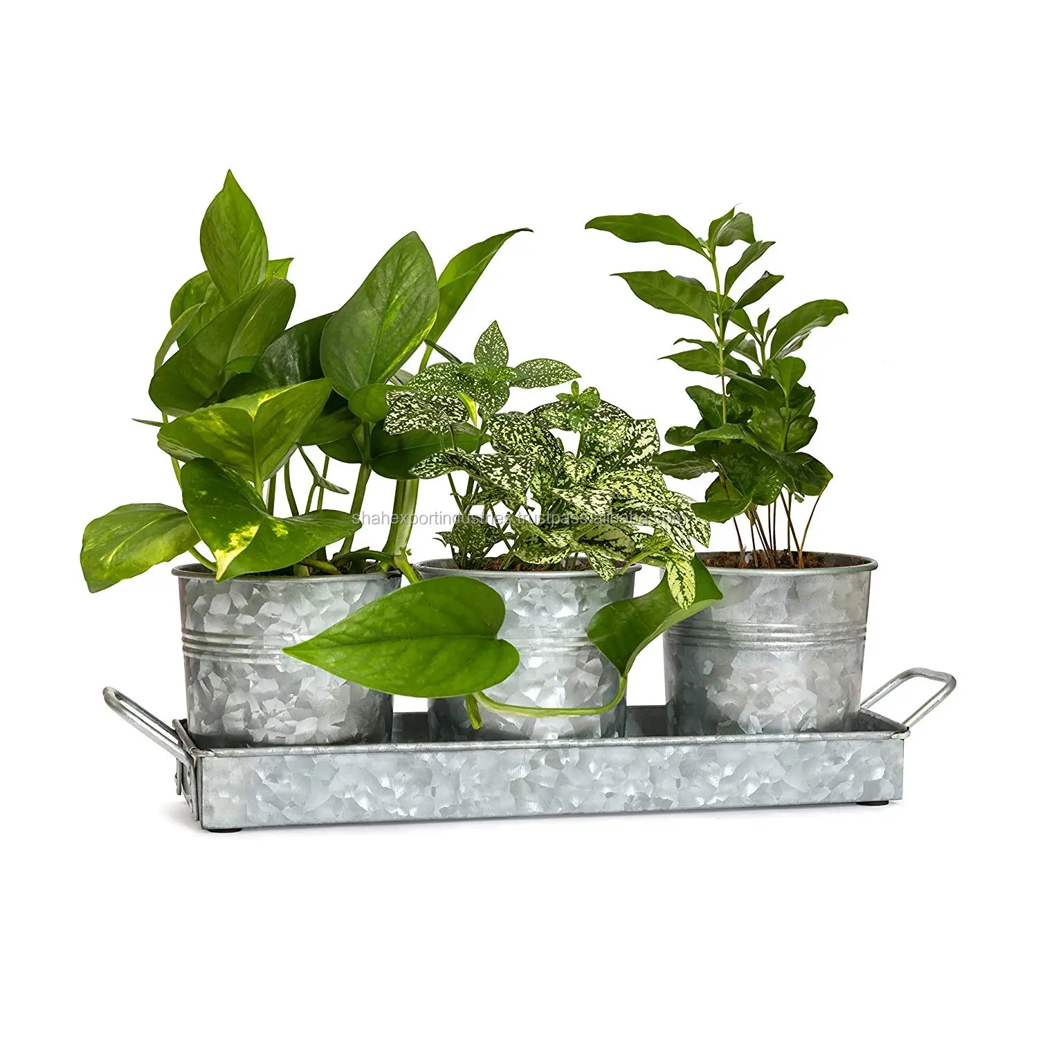 Galvanized 3 Planter Pots and Tray with Metal Handles For Windowsill Planter Herbs Living Room Decor Plants Pot