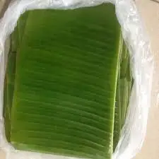 Свежий банановый лист зеленые банановые листья из Вьетнама