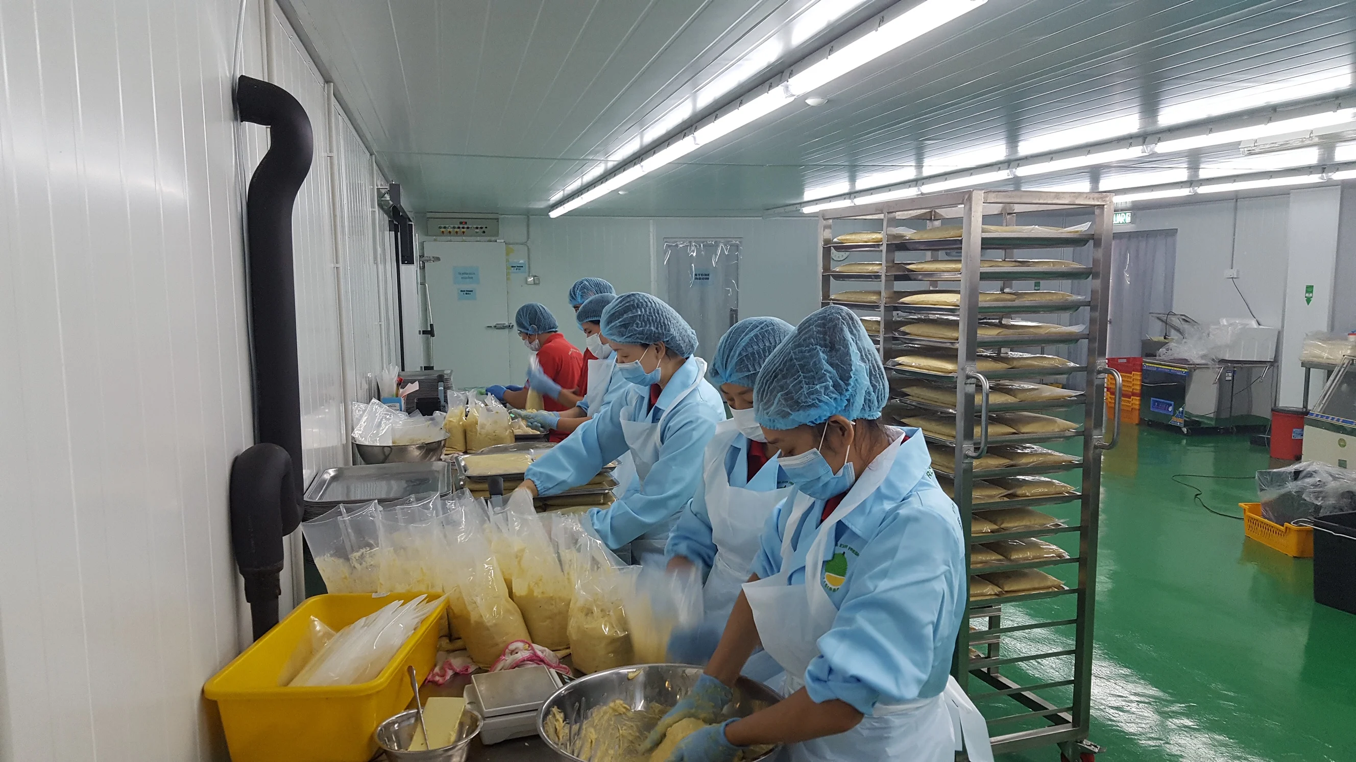 Malaysia Premium Frozen Musang King and D24 Durian Paste Seedless