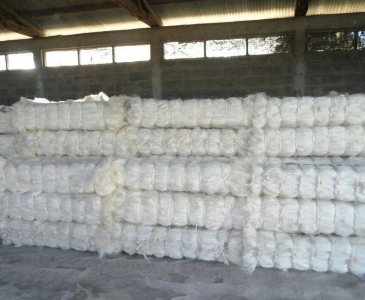 
UG Grade Sisal Fiber for Building Material 100kgs/bale 