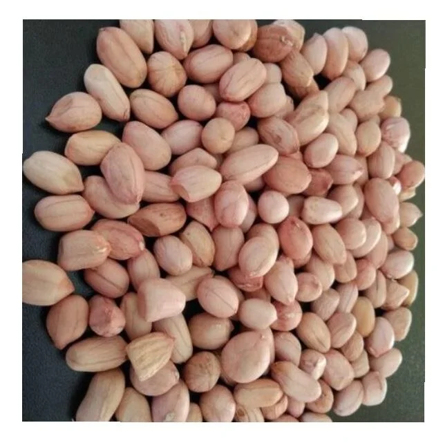Healthy snack top grade  peanut kernels peeled peanuts nuts in bulk from INDIAN manufacturer