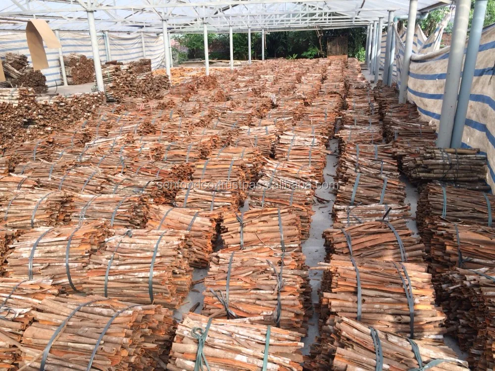 
100% pure natural Vietnam Split Cassia best price from SENFOOD JSC 