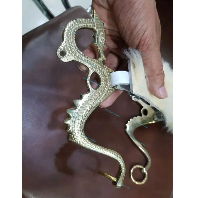  Dragon horse hackamore