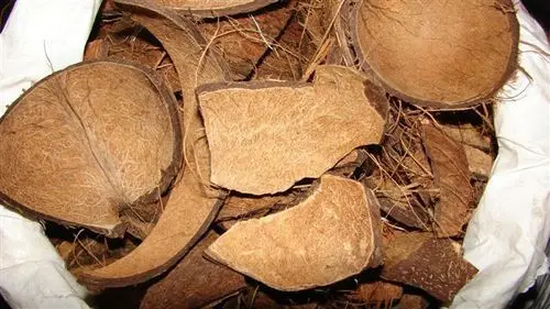 COCONUT SHELL / CRUSHED COCONUT SHELL / COCONUT SHELL POWDER (WS: 0084987731263)