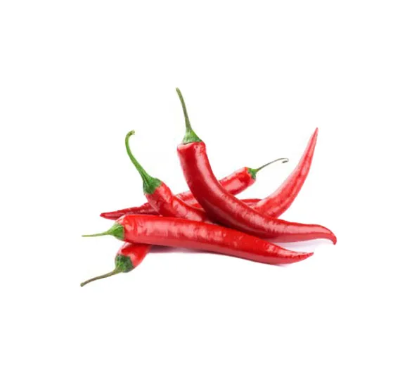 
FRESH RED CHILI / HIGH QUALITY / ORIGIN VIETNAM 