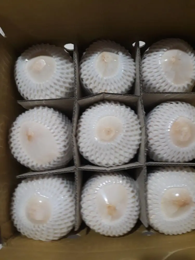 
Diamond Shape Coconut/ Fresh Coconut Vietnam 