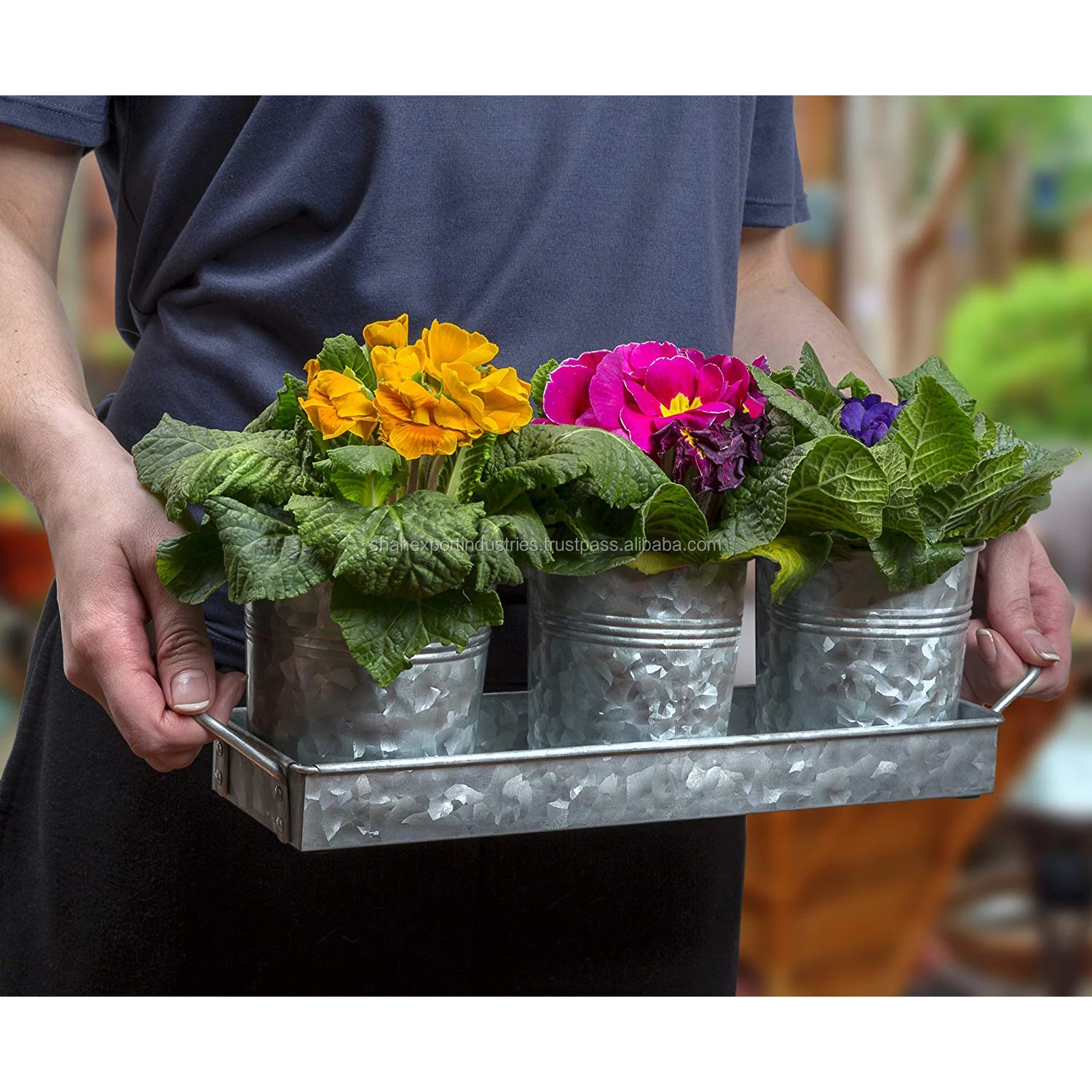 Galvanized 3 Planter Pots and Tray with Metal Handles For Windowsill Planter Herbs Living Room Decor Plants Pot
