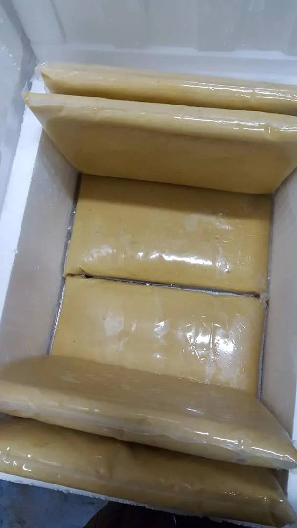 Malaysia Premium Frozen Musang King and D24 Durian Paste Seedless
