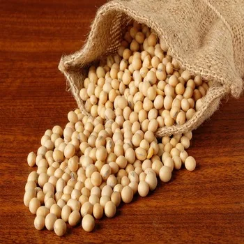 
ORGANIC Soya beans 