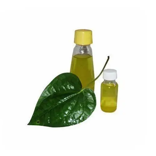100%  pure natural and top grade Precious Quality With Best Price Betel leaf essential oil