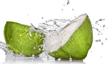 FRESH COCONUT CHEAP AND HIGH QUALITY / WHATSAPP: +84 845639639