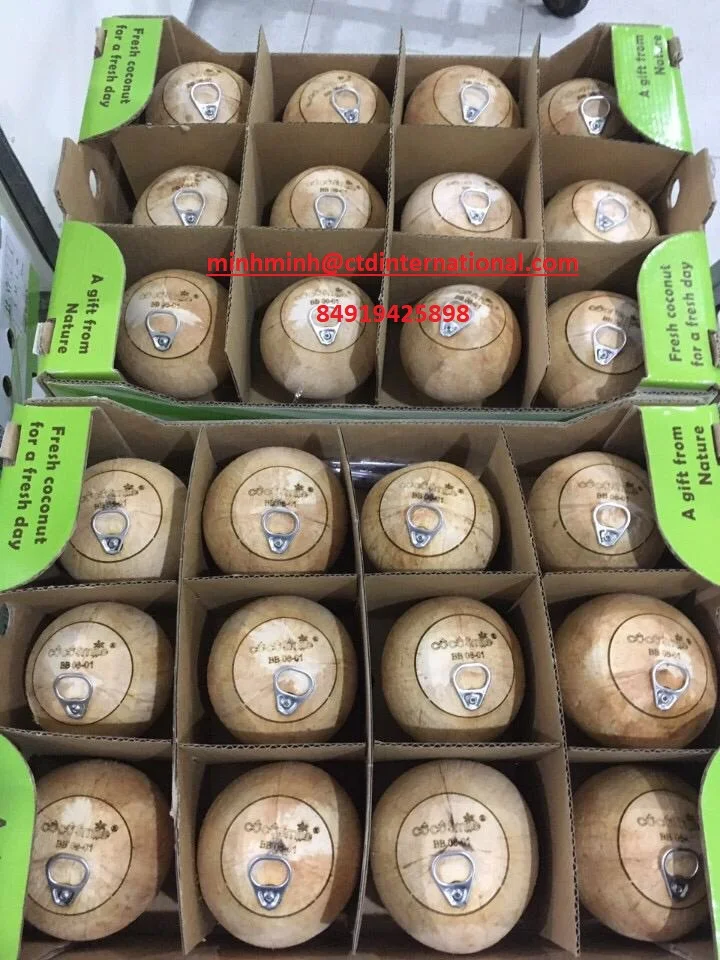 
Cheap price for Easy Open Coconut/ Fresh Young Coconut/High Quality for Coconut from Vietnam season 2019 