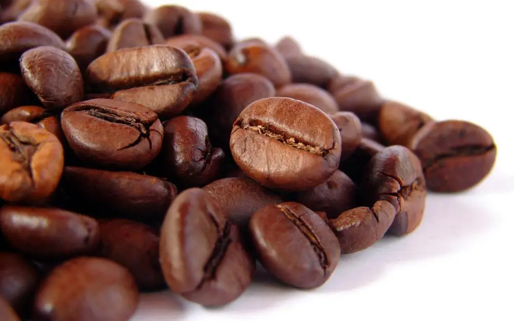 Roasted Robusta Coffee Beans Vietnam Type A Robusta and Arabica Cheap Price