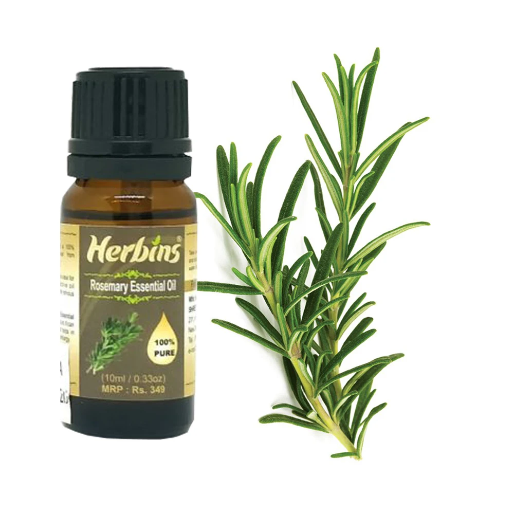Bulk Supply Rosemary Essential Oil at Best Price