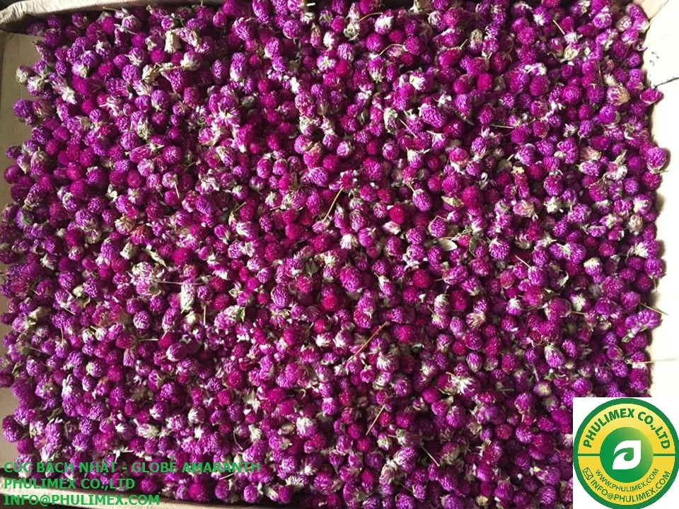 
DRIED ROSE, DAISY, PURPLE STATICE, CARNATION AND SUNFLOWER FOR TRADITIONAL MEDICINE 
