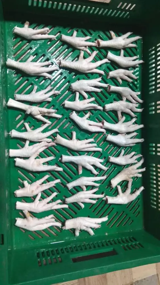 BRAZIL WHOLE CHICKEN, FROZEN CHICKEN PAWS FROZEN PROCESSED CHICKEN