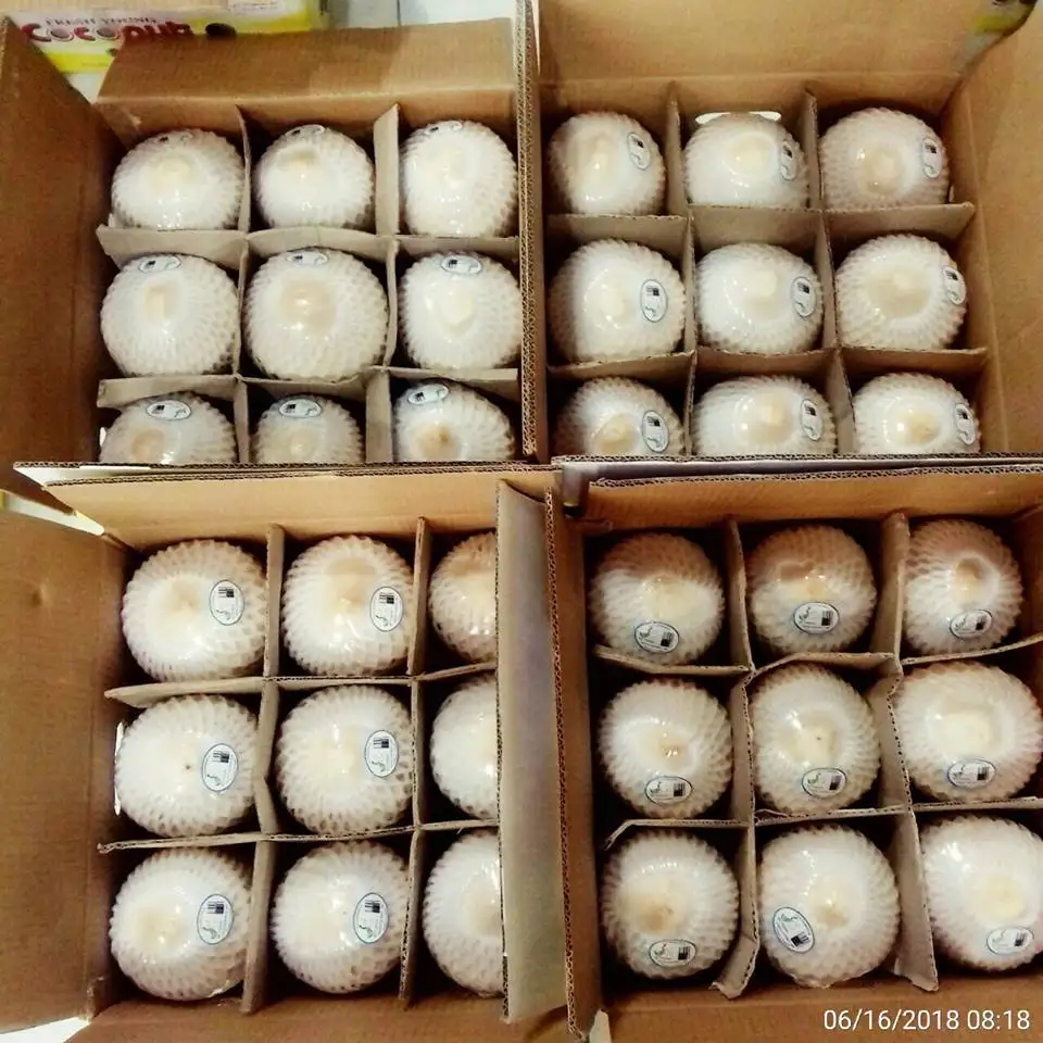 
Fresh Coconut/Easy Open Coconut with Ring Pull/Diamond Cut Coconut 