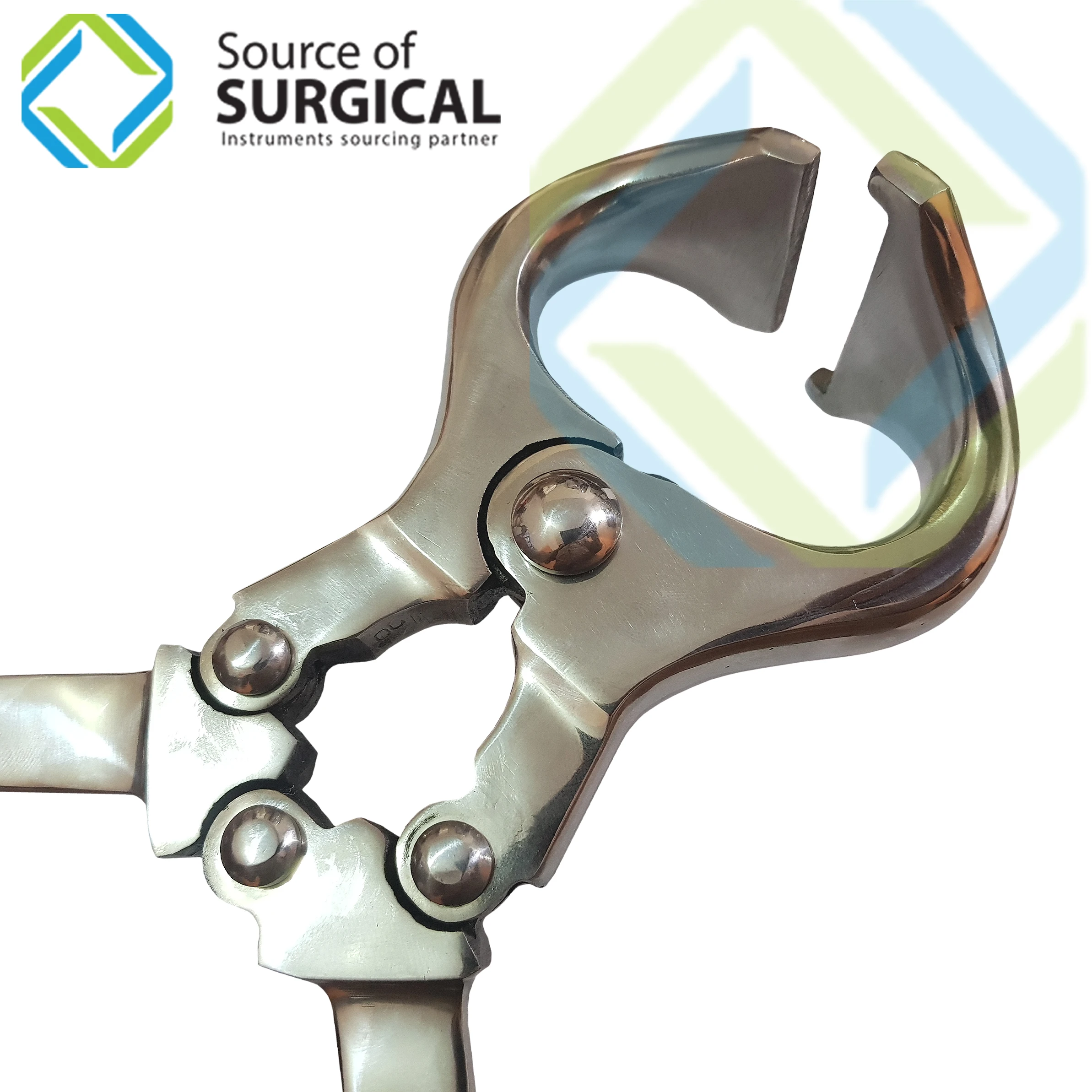 Burdizzo Bloodless Castrator veterinary clamp