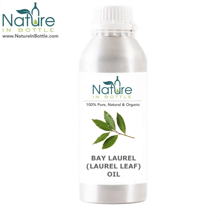 Organic Bay Laurel Leaf Essential Oil | Laurus Nobilis Leaf Oil - Best Quality Steam Distilled Essential Oils - Pure & Natural