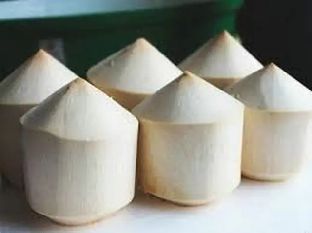 FRESH COCONUT CHEAP AND HIGH QUALITY / WHATSAPP: +84 845639639