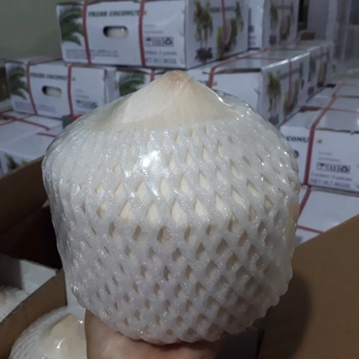 
Diamond Shape Coconut/ Fresh Coconut Vietnam 