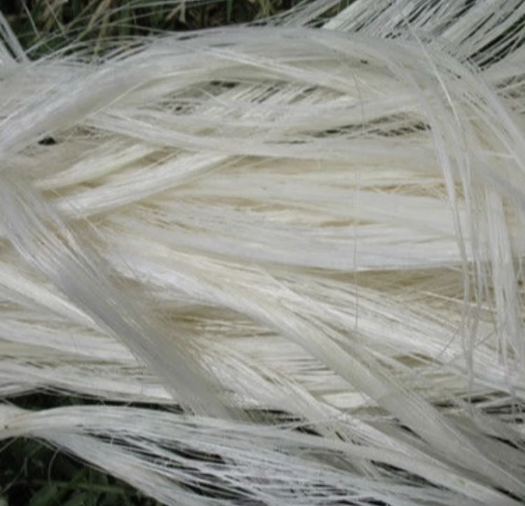 
UG Grade Sisal Fiber for Building Material 100kgs/bale 