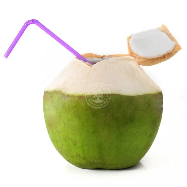 FRESH COCONUT CHEAP AND HIGH QUALITY / WHATSAPP: +84 845639639