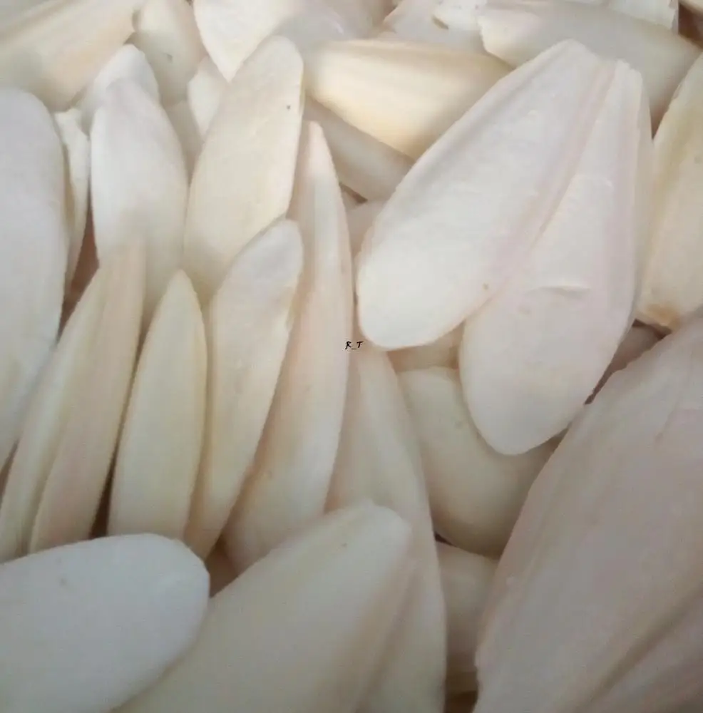 
VIETNAM CUTTLE FISH BONE / CUTTLEBONE / SQUID BONE EU MARKET (WS: 0084987731263) 