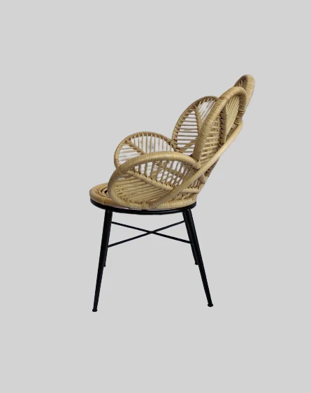 
Peacock Design Rattan Wicker Chair Home Interior Living Room for Wholesale 