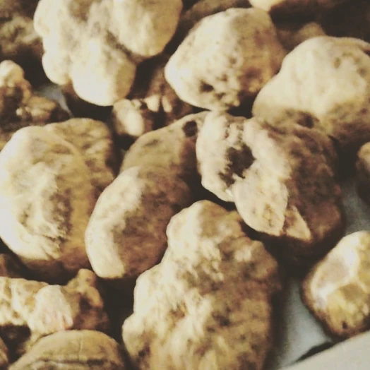 
100% ITALIAN WHITE TRUFFLES from ALBA or BASILICATA tartufo di basilicata 