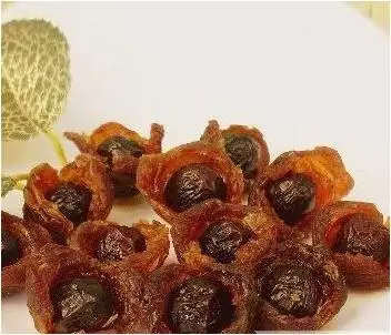 HIGH QUALITY FREEZE DRIED LONGAN FROM VIETNAM