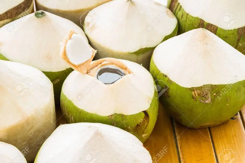 FRESH COCONUT CHEAP AND HIGH QUALITY / WHATSAPP: +84 845639639