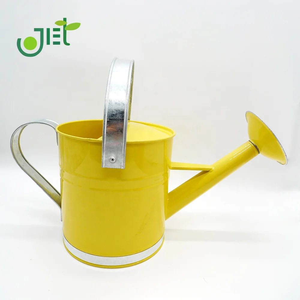 
With Galvanized handle on top and side Metal Watering can 