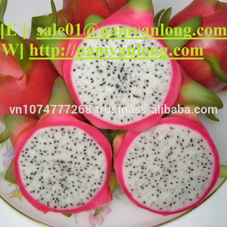 FRESH DRAGON FRUIT WITH HIGH QUALITY & THE BEST PRICE