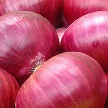 
Red Fresh Onions 