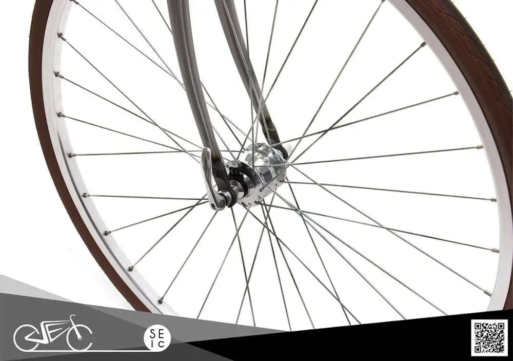 Vintage city motor ebike with classic Zehus all in one for electrical bicycle riders