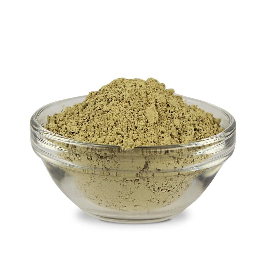 Best Quality Organic Aloe Vera Powder from Indian supplier- Whatsapp :+91 73580 94554