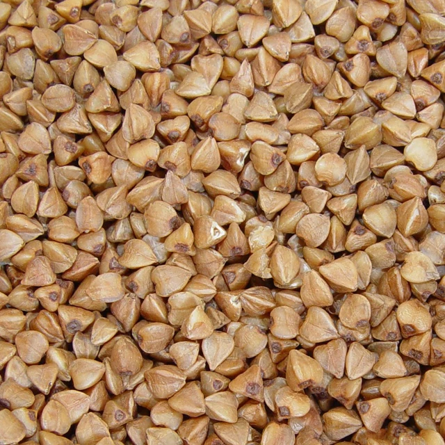 Распродажа жареной коричневой гречихи