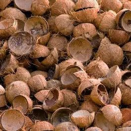COCONUT SHELL / CRUSHED COCONUT SHELL / COCONUT SHELL POWDER (WS: 0084987731263)