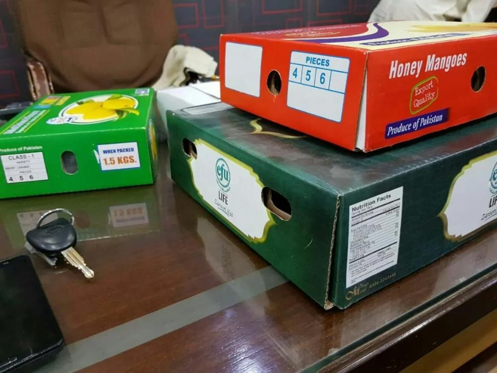 
Fresh Mango Pakistan - Paskitan Export Quality Mango 