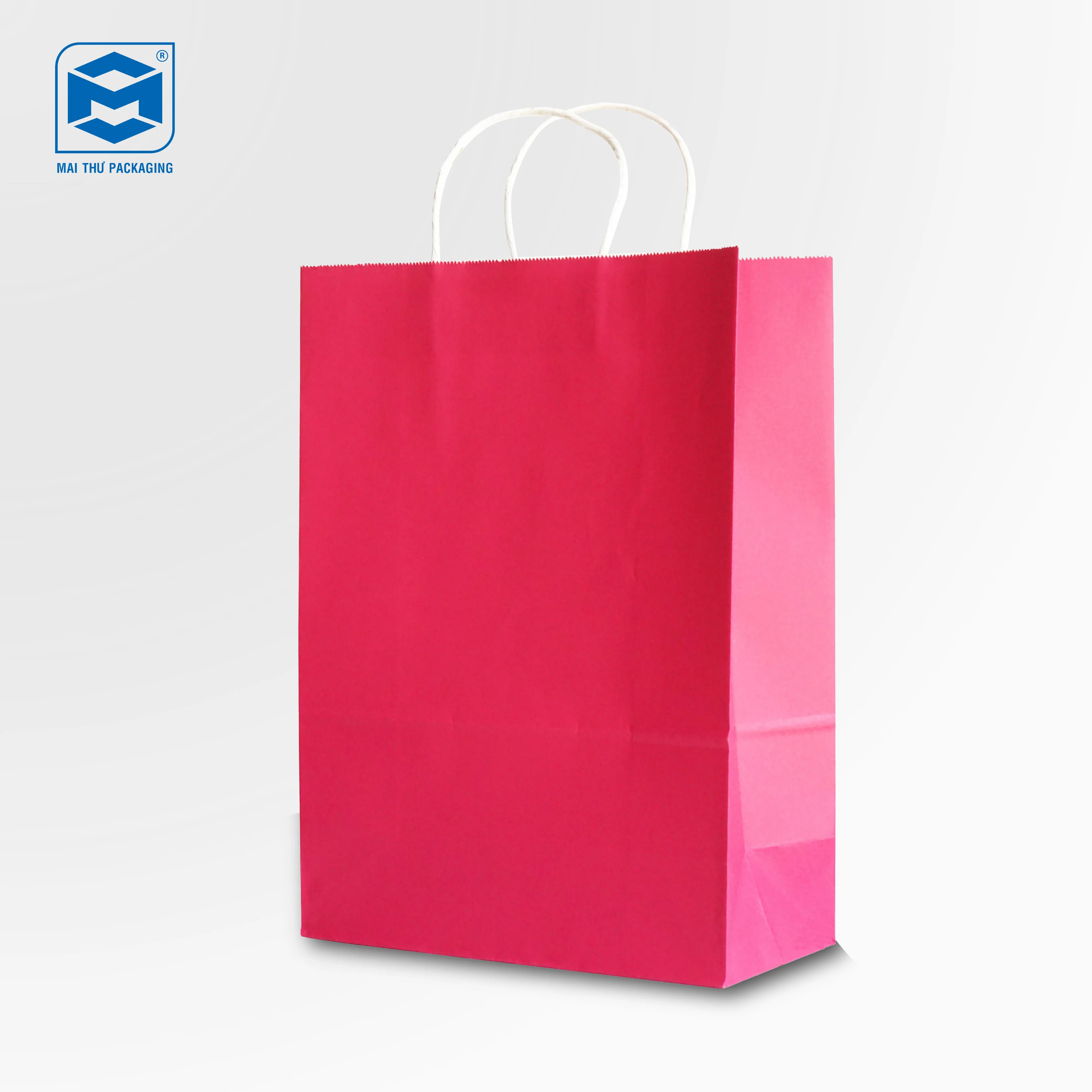 Colorful twisted Handle Paper Bags for Shopping