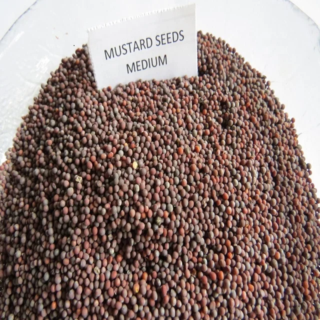Black Mustard Seeds